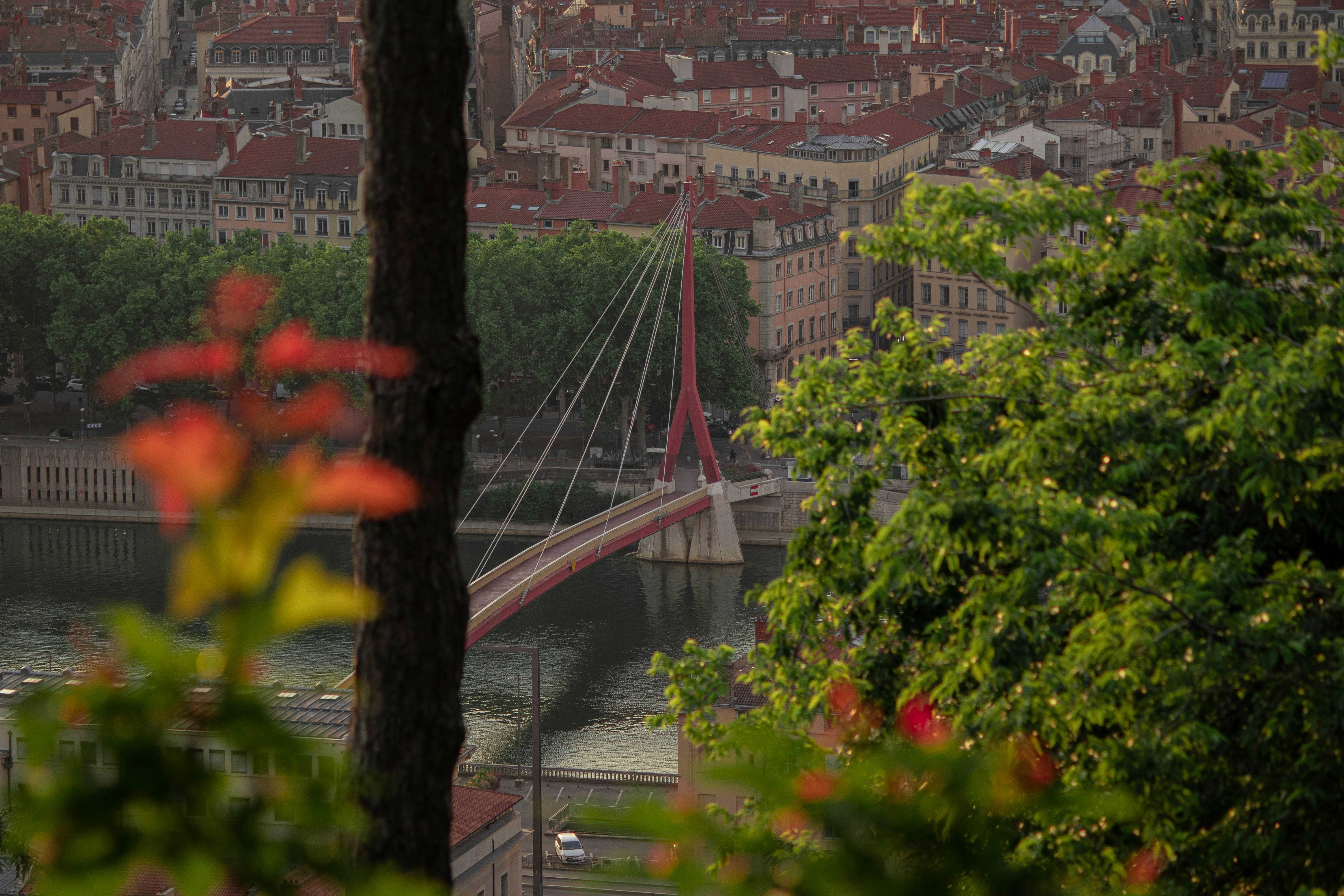 Image by Pierre-Axel Cotteret via Unsplash