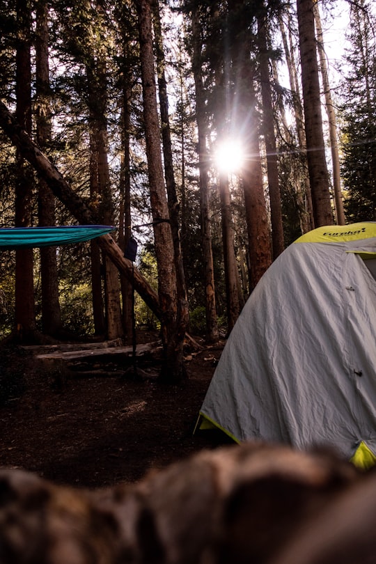 green and white tent in forest during daytime in Buena Vista United States