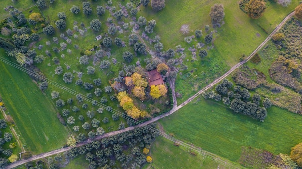 aerial view of green grass field