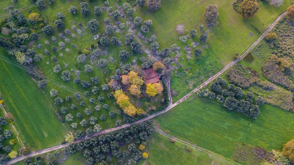aerial view of green grass field