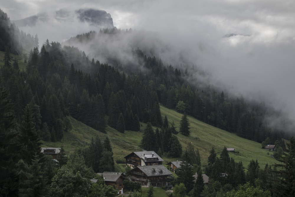 green trees and mountains under white clouds