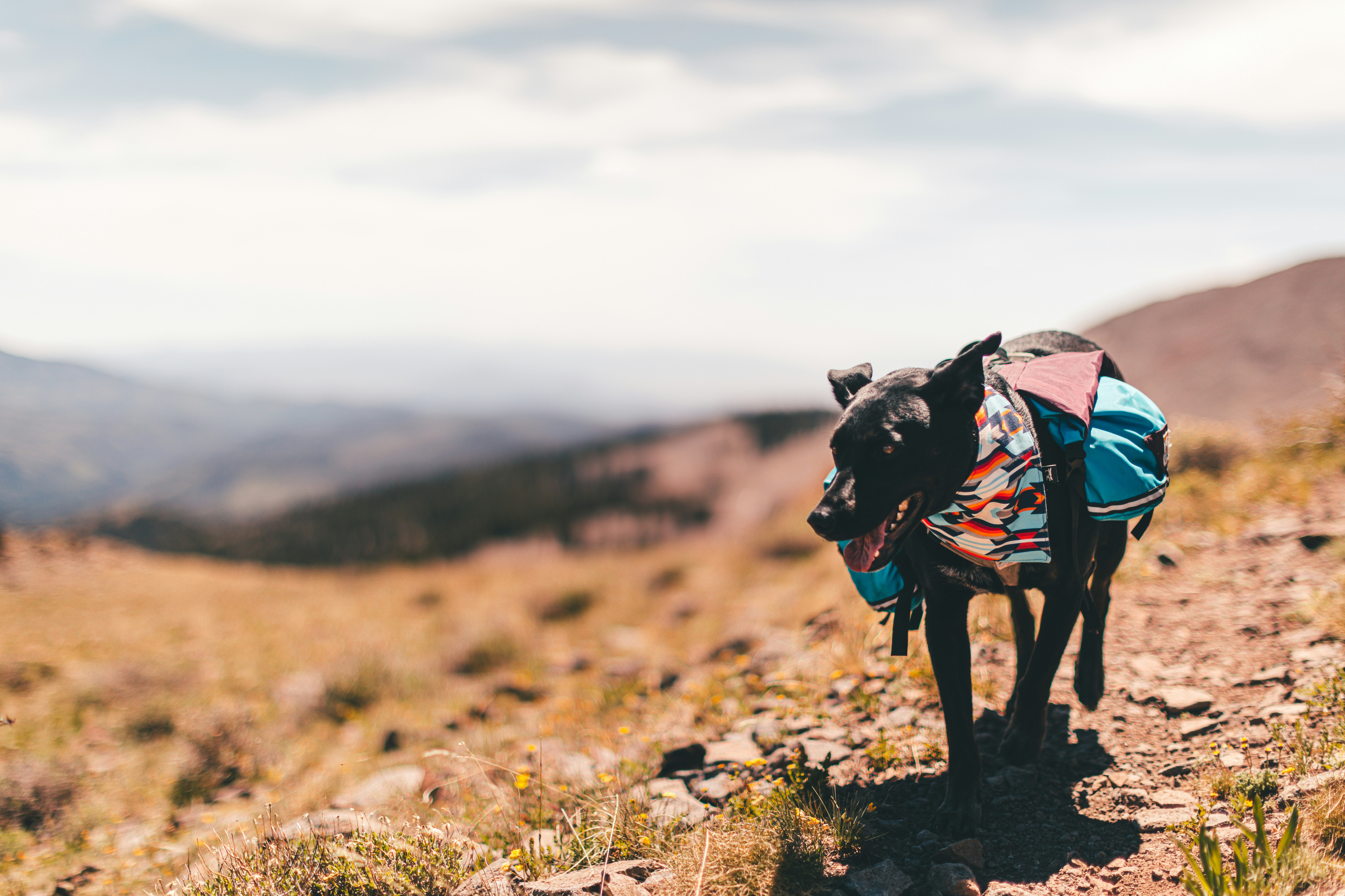 Photo by worldsbetweenlines