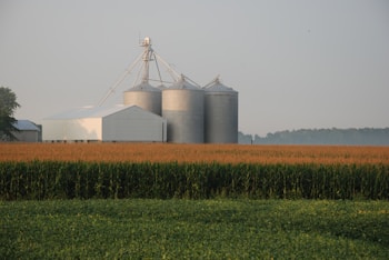 A peaceful rural landscape featuring large silos and a barn amidst expansive fields of corn and soybeans. The structures stand tall against a backdrop of distant trees and a hazy sky, suggesting early morning or late afternoon light.