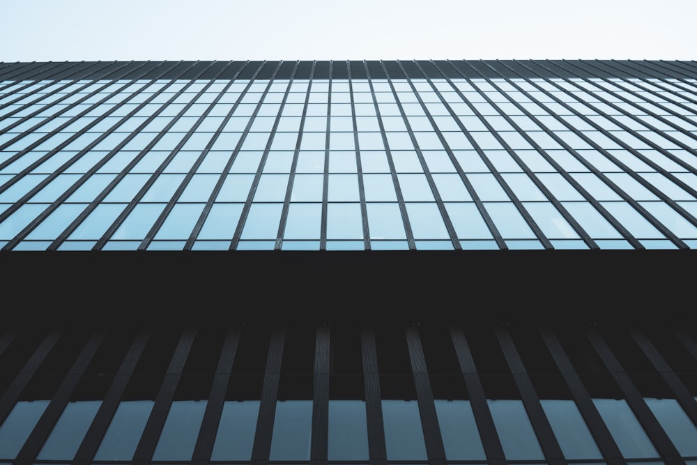 black and white glass building