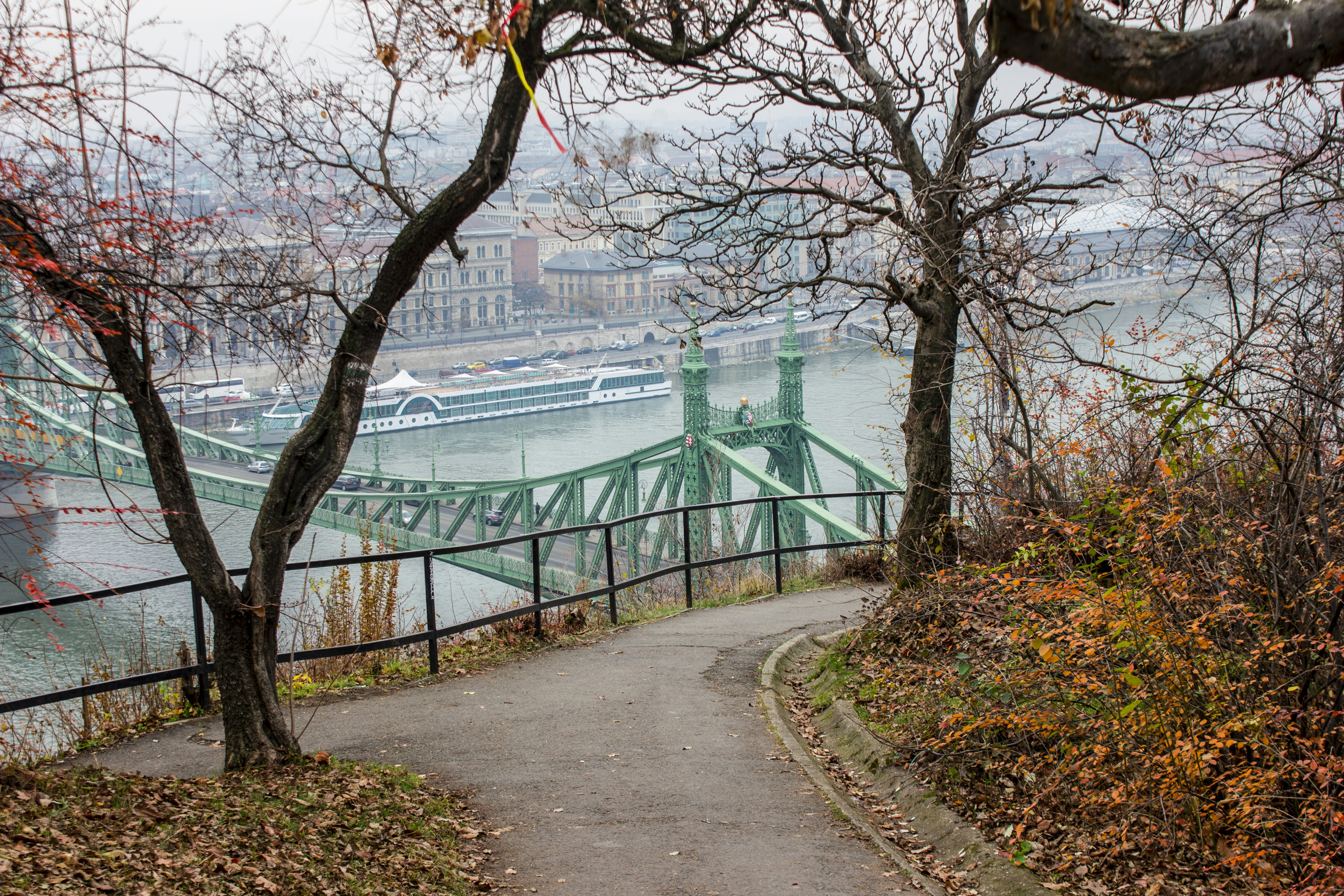 Családi park