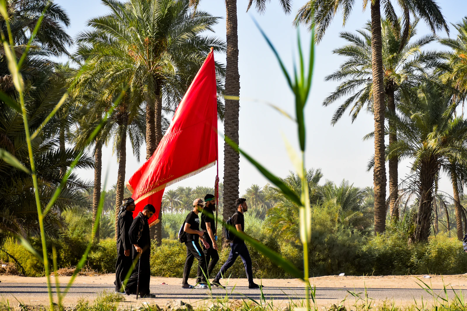 Pilgrims carrying a red banner along a palm-lined road