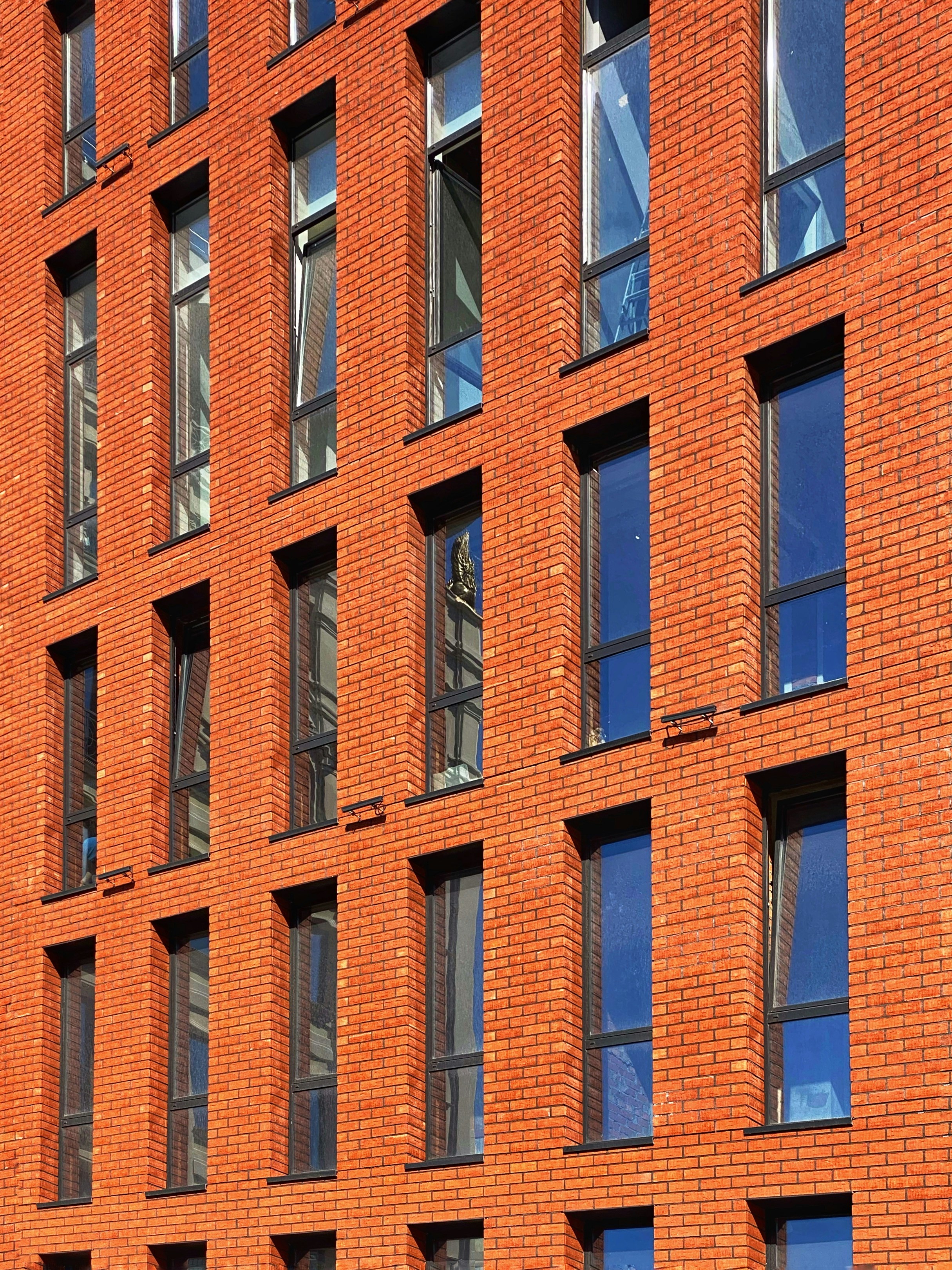 Photo by sudilkovsky