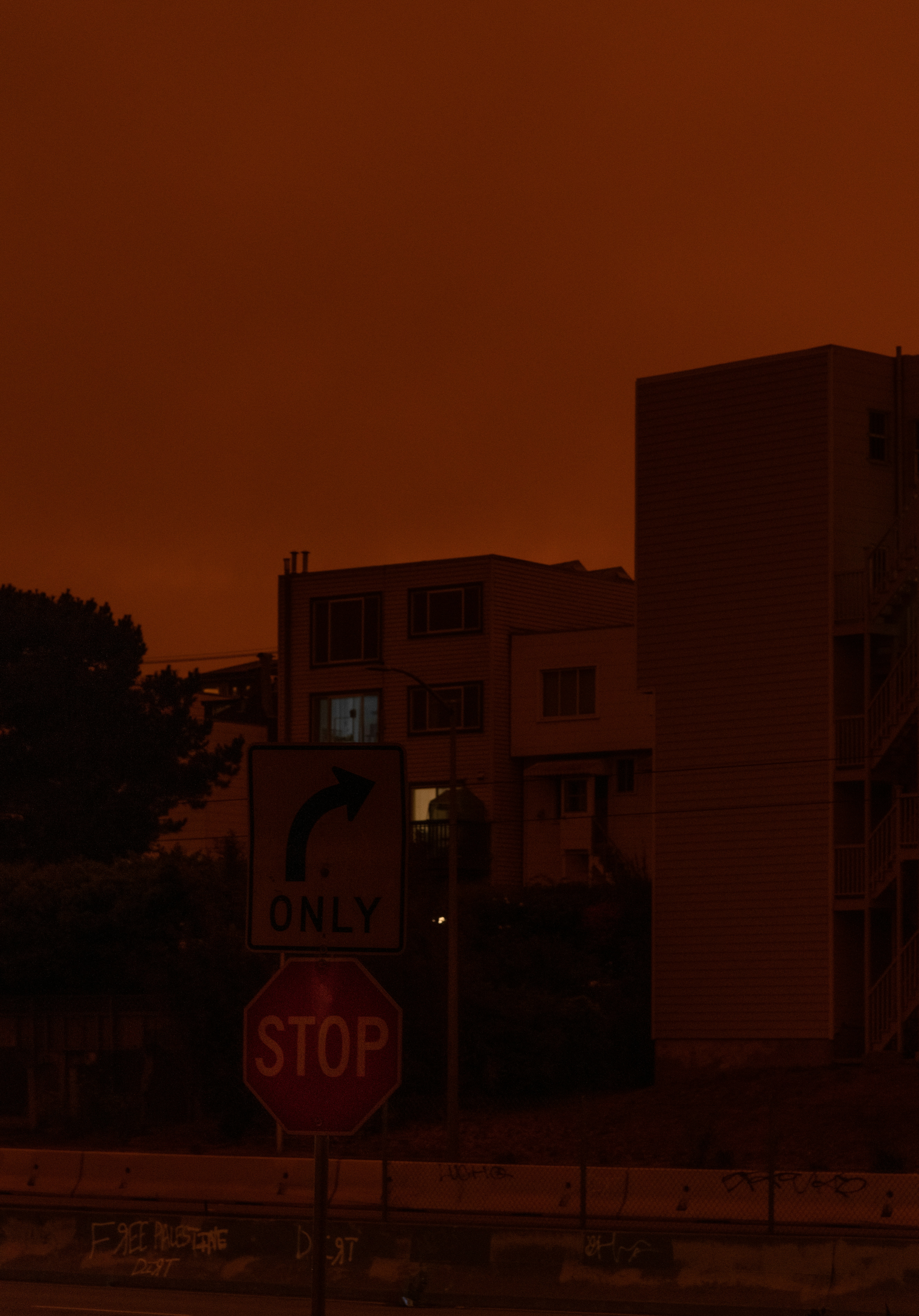 brown concrete building during night time