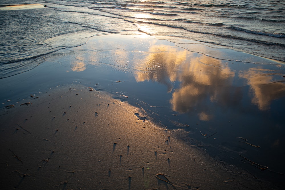 body of water during daytime