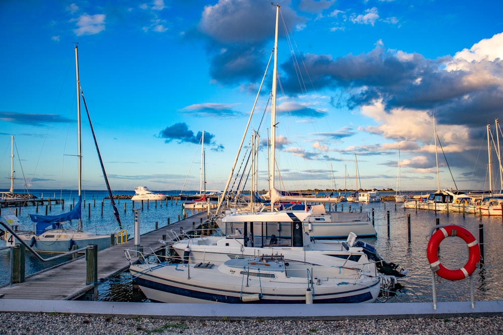 white boat on dock during daytime