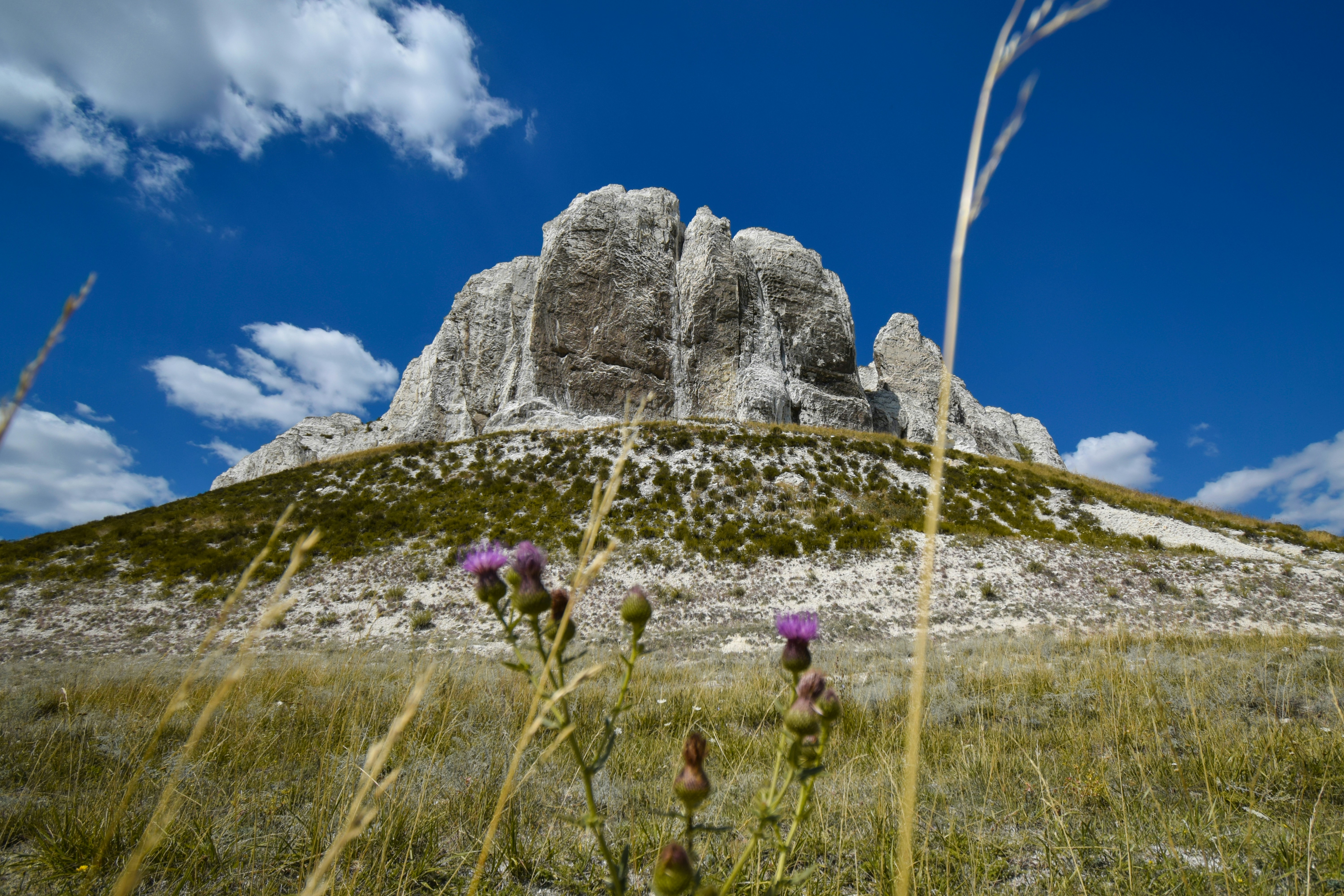 Photo by karynaviktori