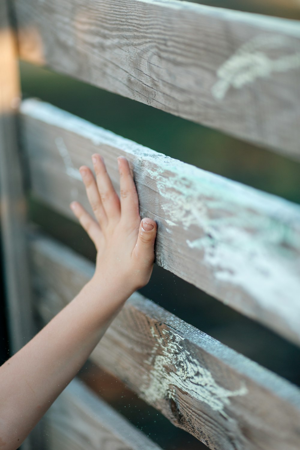 persons hand on wooden fence
