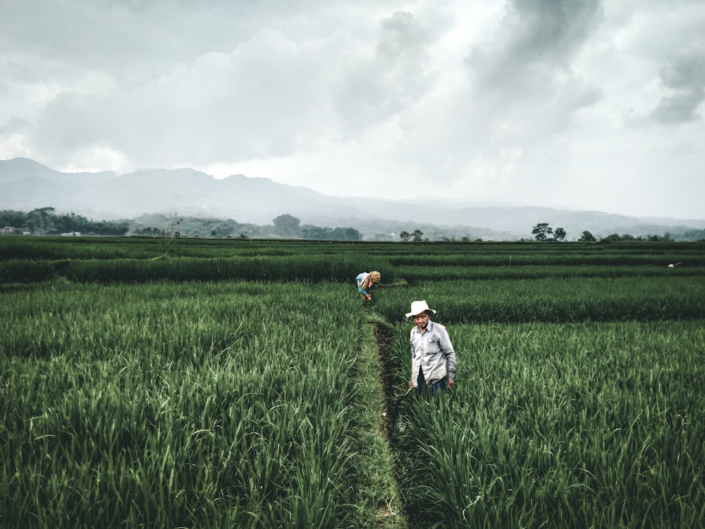 girl in white dress walking on green grass field during daytime