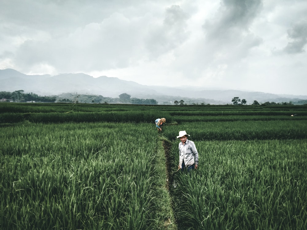 Muchacha en vestido blanco caminando en campo de hierba verde durante el día