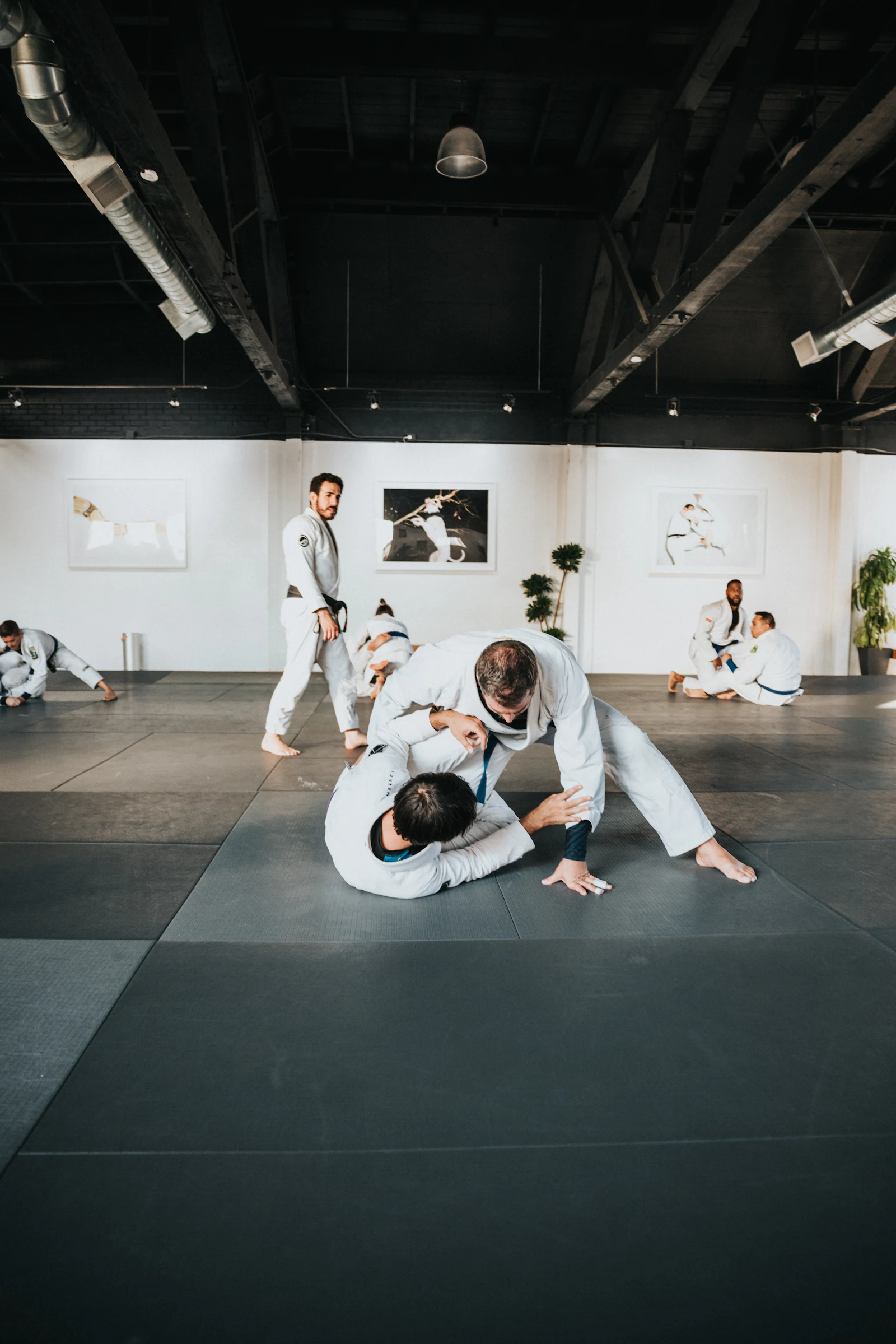 Academia de jiu-jitsu durante o treino coletivo