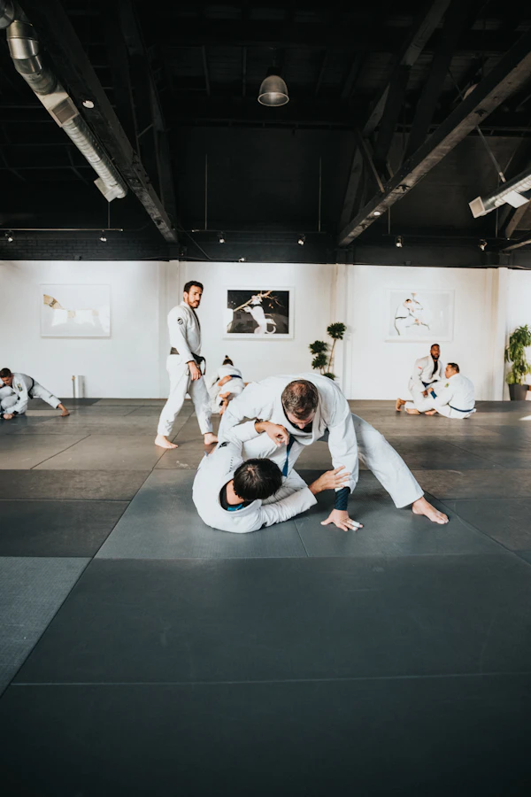 Aula de Jiu Jitsu