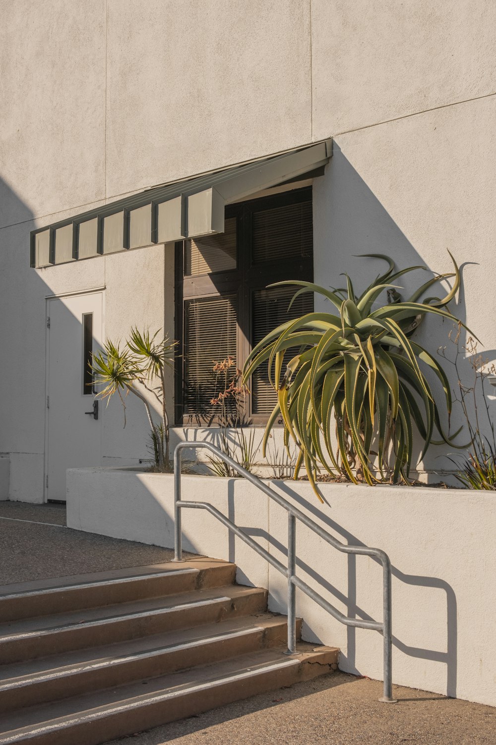 Palmier vert à côté d’un bâtiment en béton blanc