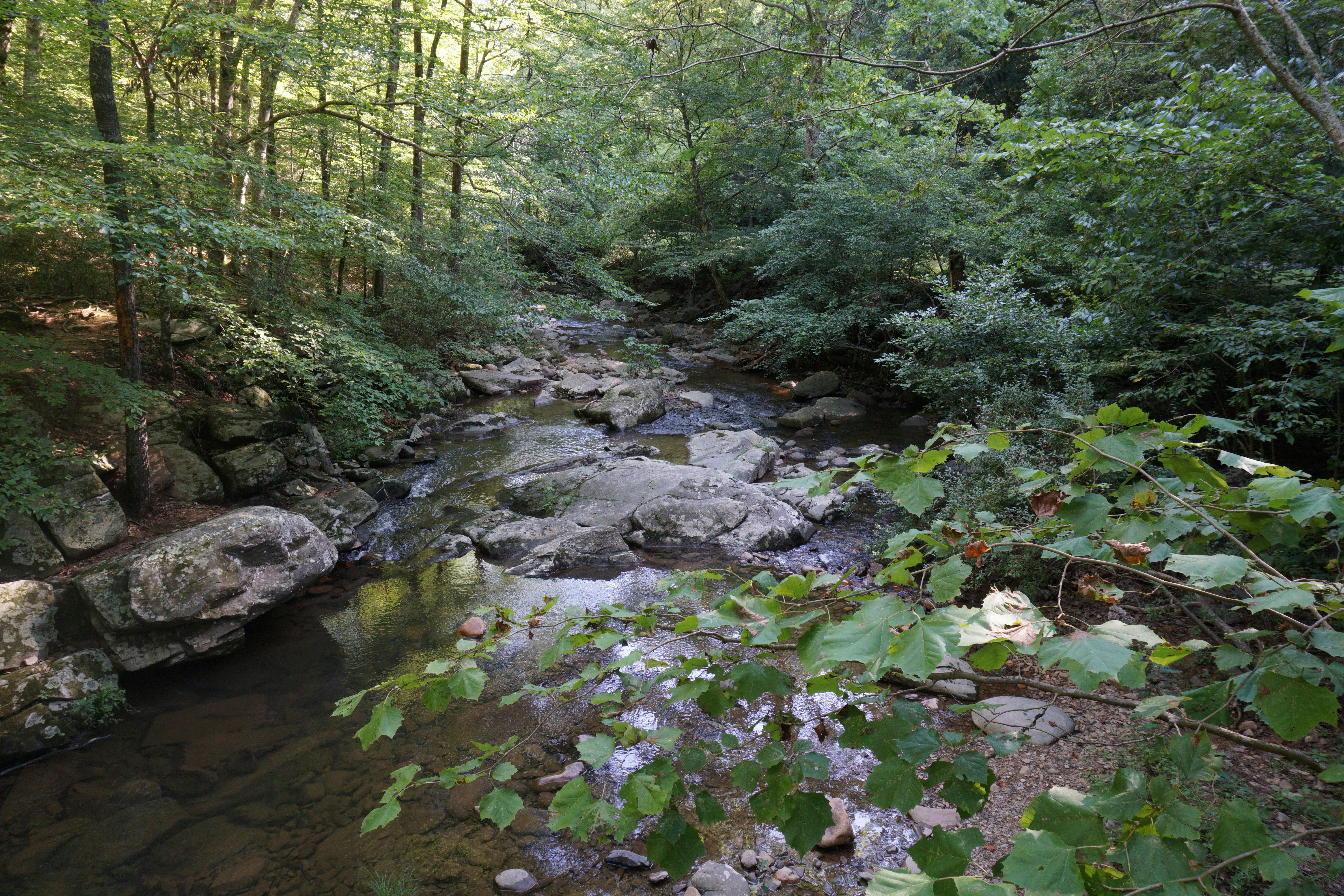 Photo by blueridgethunder