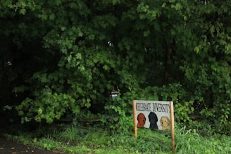 A scene in a forested area with dense green foliage. In the foreground, a sign with the words 'Celebrate Diversity' features illustrations of three dogs in different colors: brown, black, and tan. The ground is covered in grass, and there is a sense of lush nature surrounding the scene.