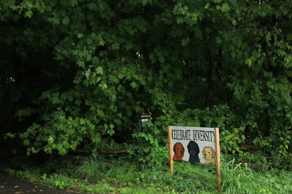 A scene in a forested area with dense green foliage. In the foreground, a sign with the words 'Celebrate Diversity' features illustrations of three dogs in different colors: brown, black, and tan. The ground is covered in grass, and there is a sense of lush nature surrounding the scene.