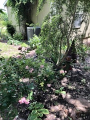 A lush garden with various plants and flowers, including pink roses. There is a tree with dense foliage, and an air conditioning unit is visible near the wall of a light-colored building. The ground is covered with soil and stones, and sunlight filters through the leaves.