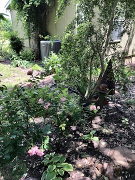 A lush garden with various plants and flowers, including pink roses. There is a tree with dense foliage, and an air conditioning unit is visible near the wall of a light-colored building. The ground is covered with soil and stones, and sunlight filters through the leaves.