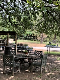 An outdoor garden area with a wooden round table surrounded by four chairs. A potted plant sits in the center of the table, with a larger hanging light fixture above. There are multiple plant stands with various potted plants in the background, set against a backdrop of lush green trees. The ground is dirt-covered, and the overhead branches and leaves provide shade to the seating area.
