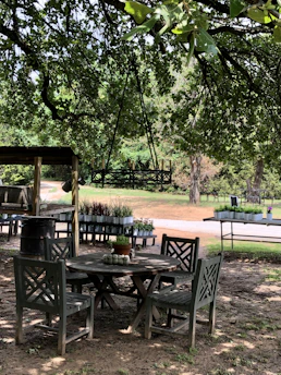 An outdoor garden area with a wooden round table surrounded by four chairs. A potted plant sits in the center of the table, with a larger hanging light fixture above. There are multiple plant stands with various potted plants in the background, set against a backdrop of lush green trees. The ground is dirt-covered, and the overhead branches and leaves provide shade to the seating area.