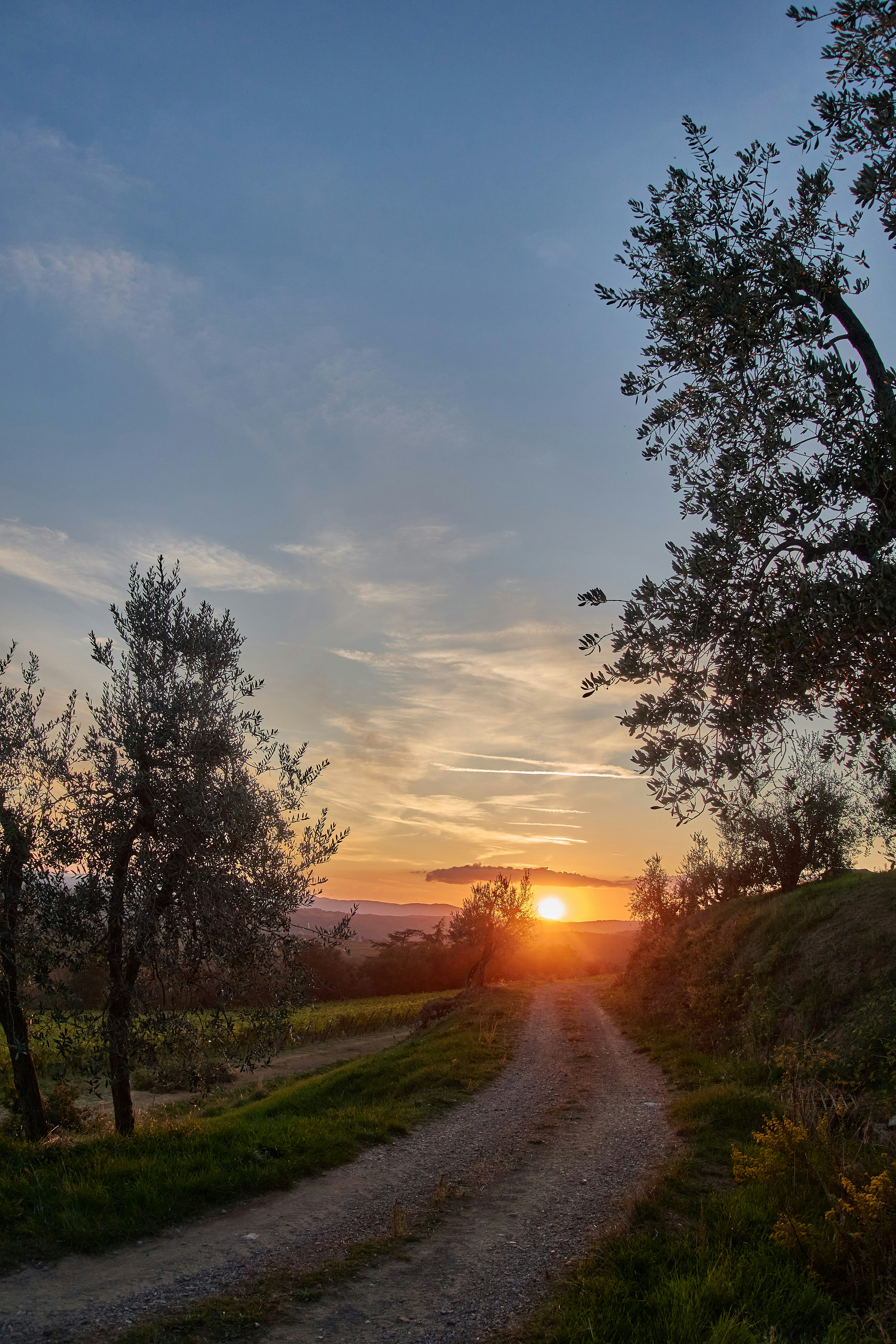 Photo by wolfgang_hasselmann