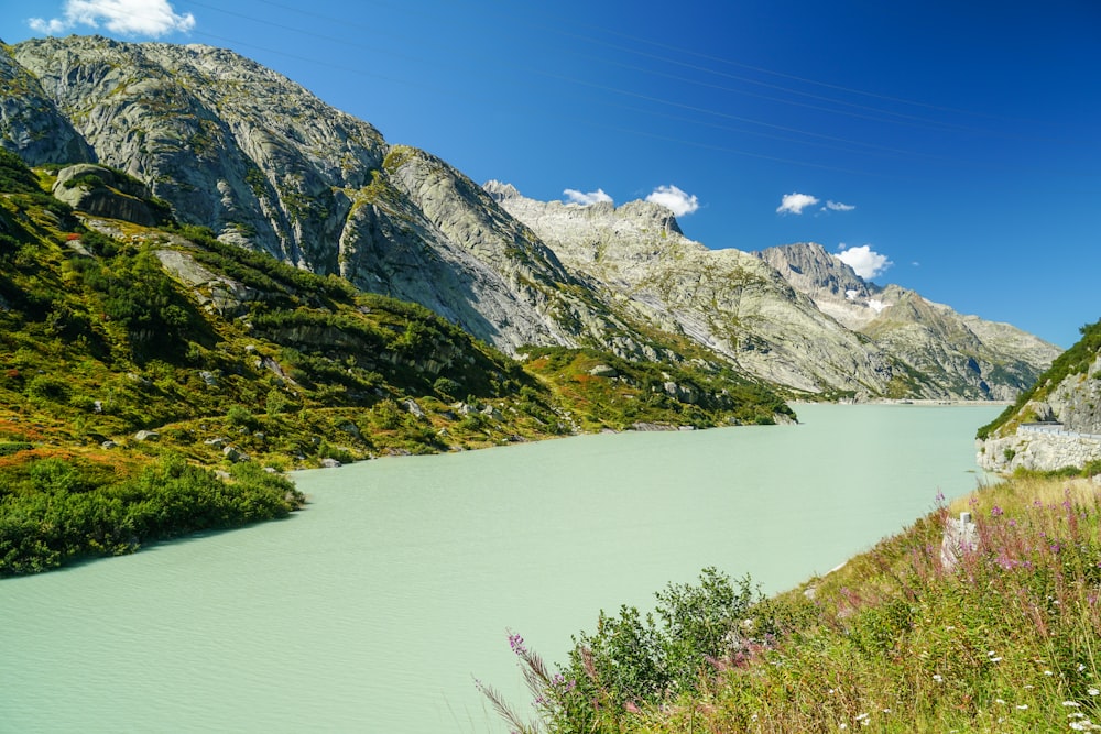 green trees near lake and mountain under blue sky during daytime