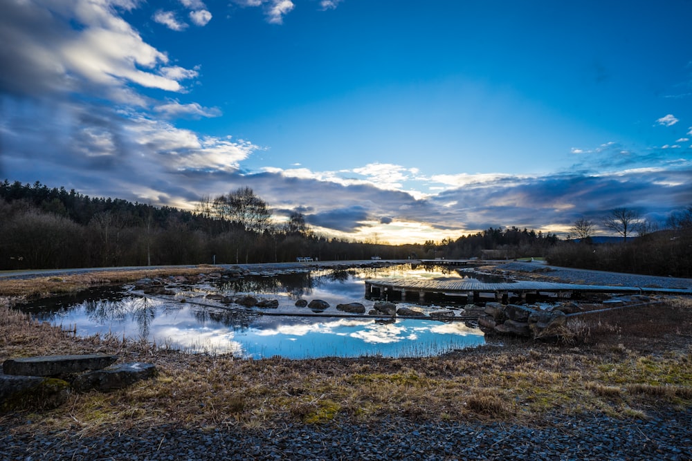 lake surrounded by trees under blue sky and white clouds during daytime