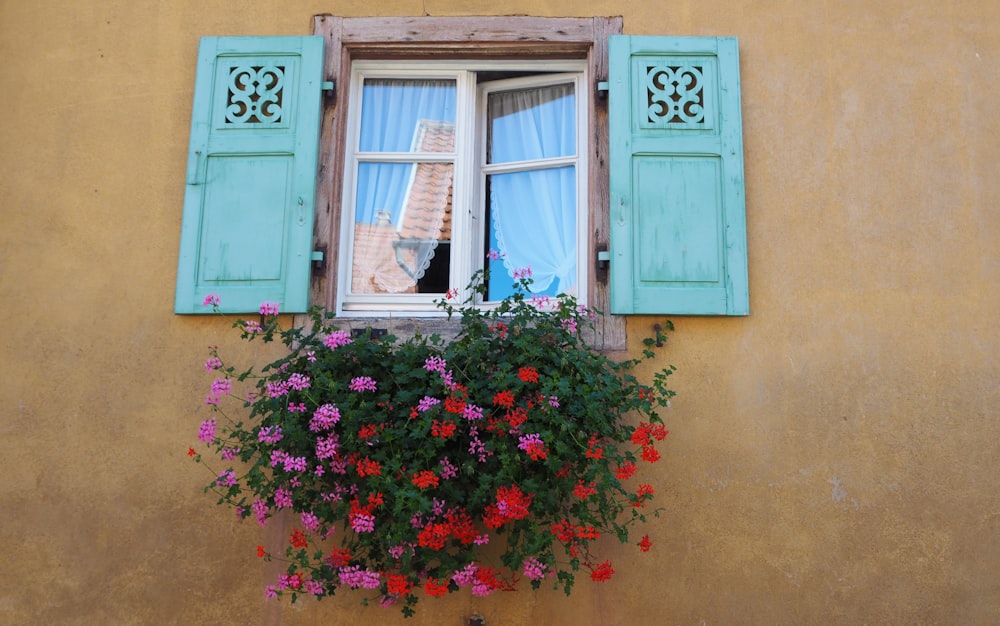 pink flowers on window during daytime