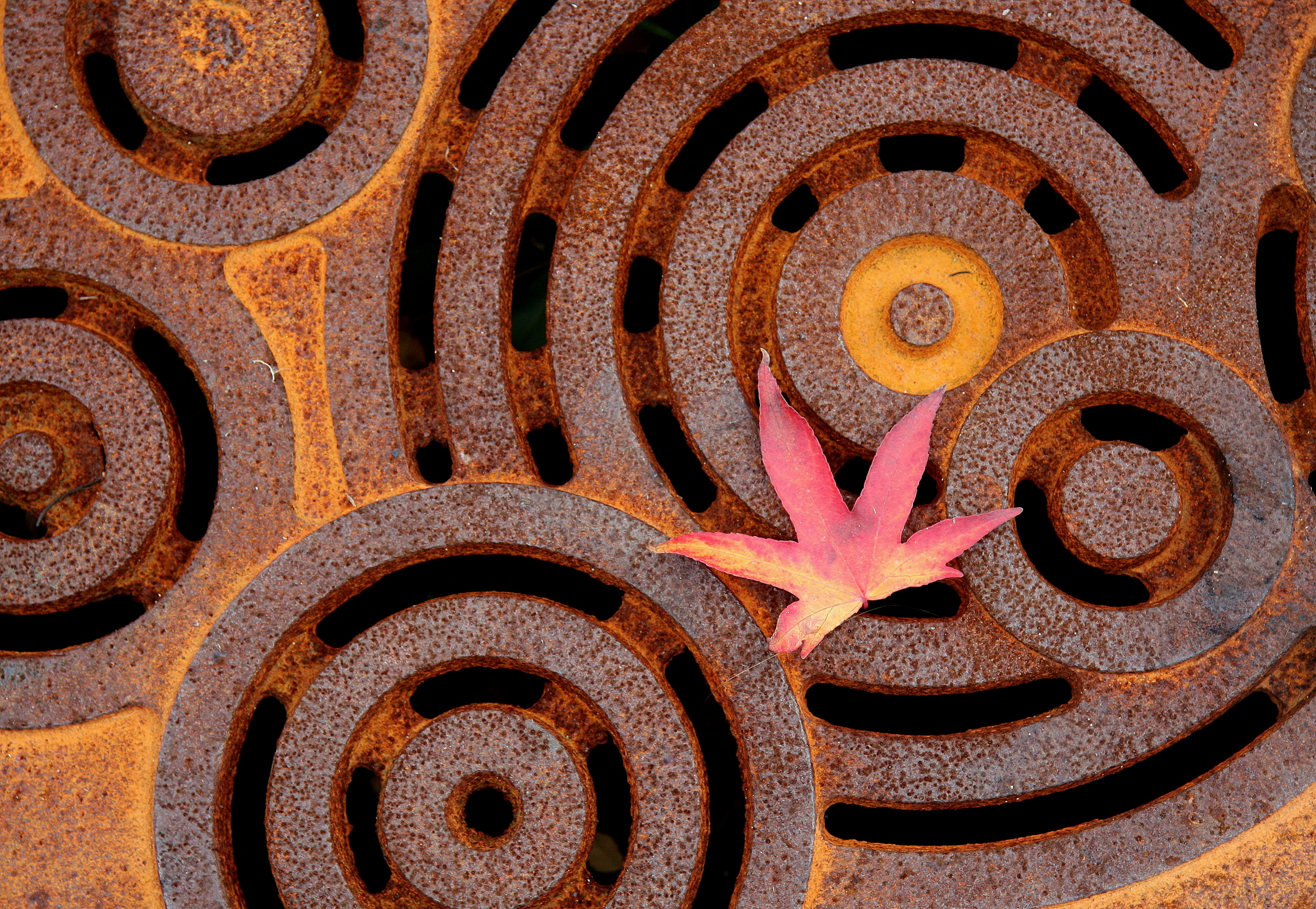 pink star on brown metal round frame