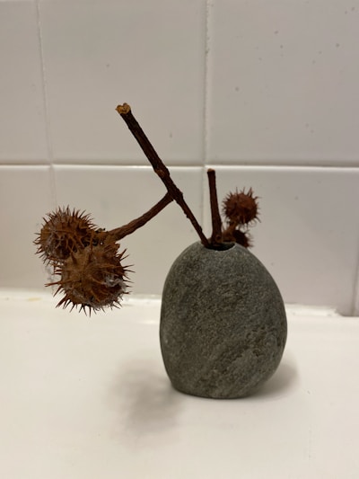 A minimalist ceramic vase with a soft matte finish, holding a single branch of delicate blossoms.