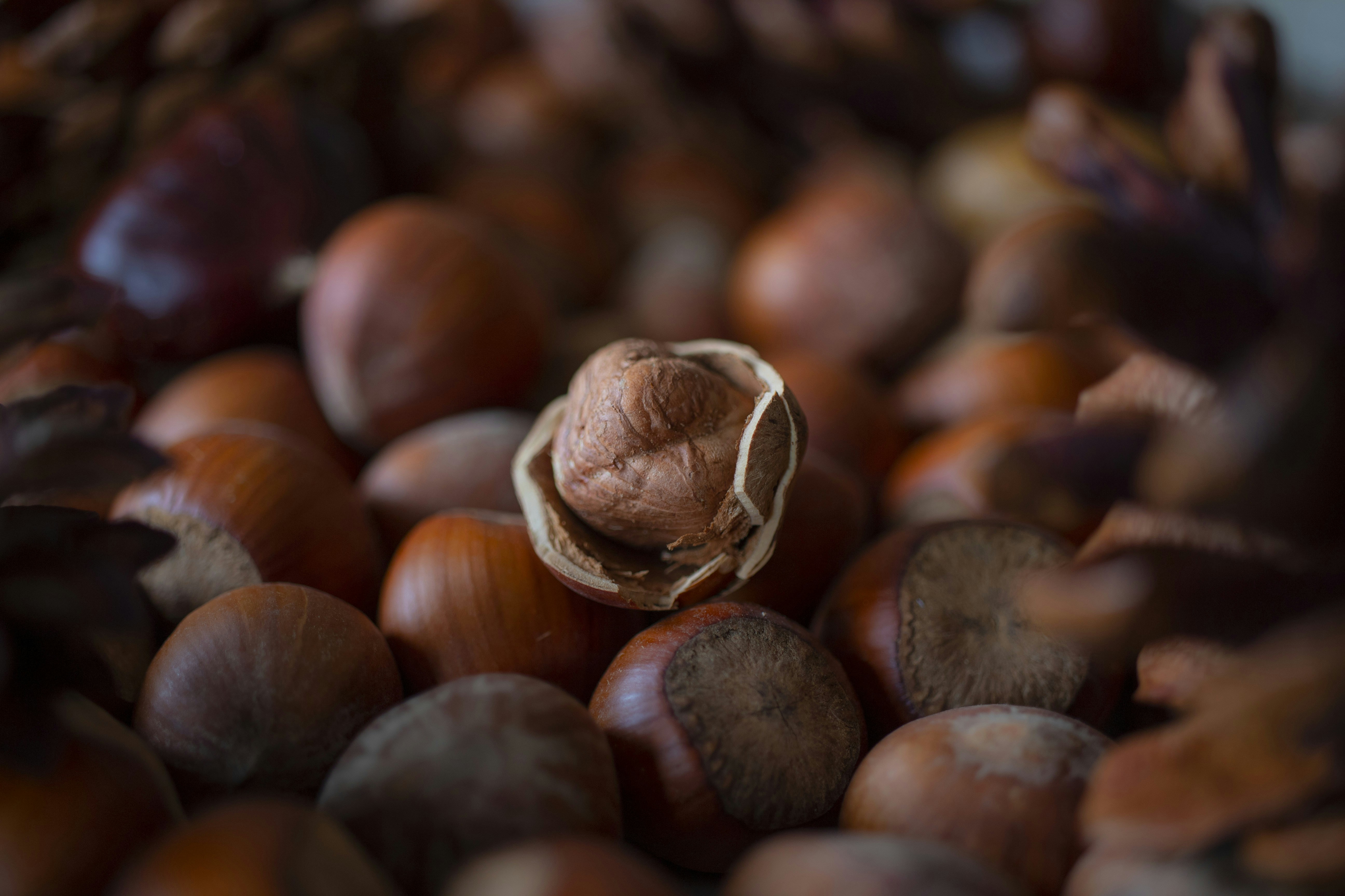 Photo by supardisign