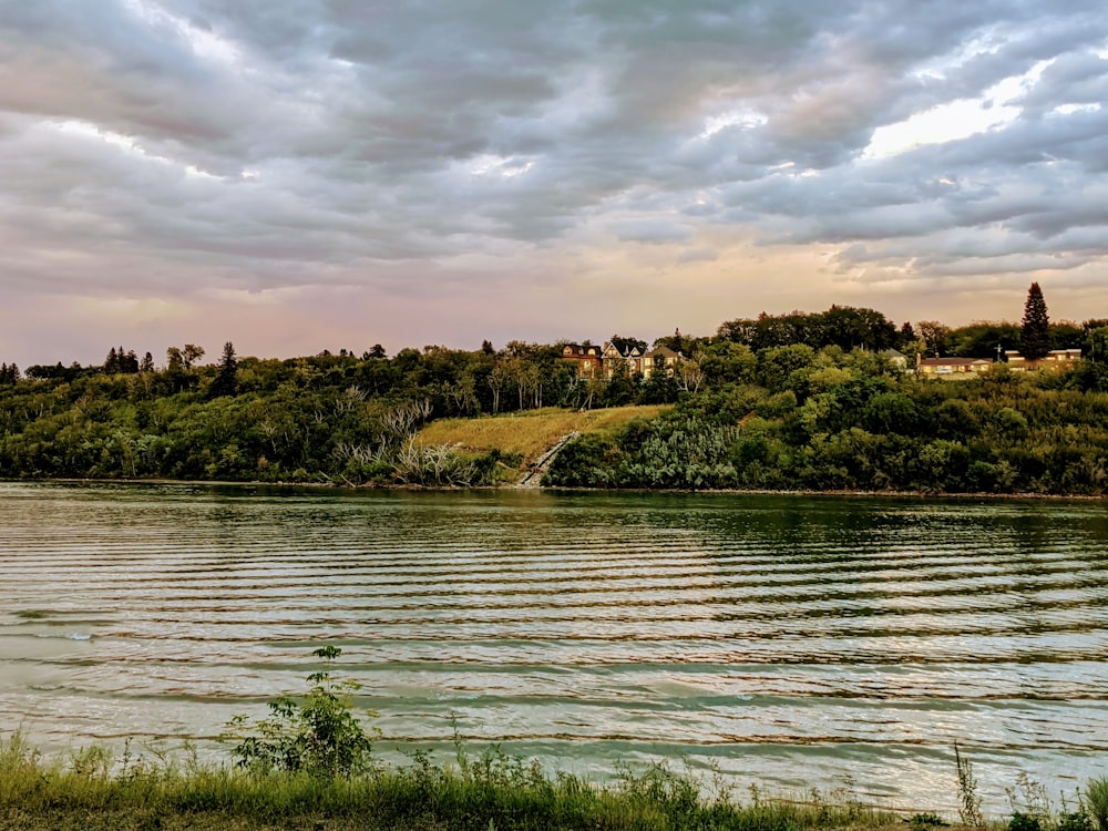 green grass field near body of water under cloudy sky during daytime