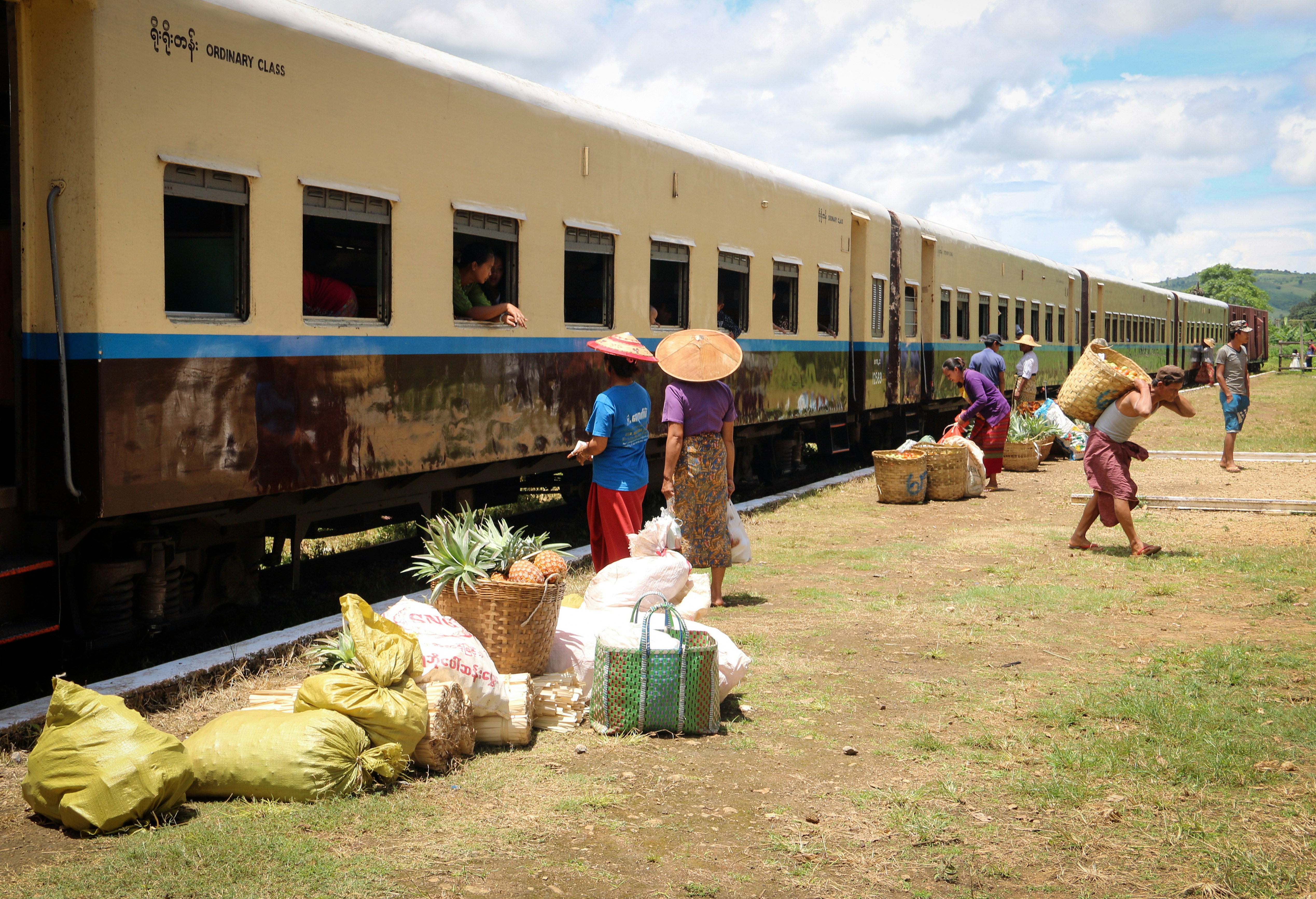 people sitting on green grass field near train during daytime