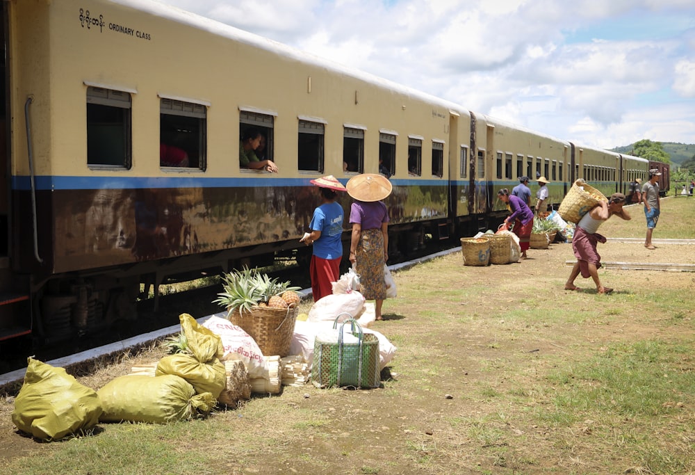 people sitting on green grass field near train during daytime