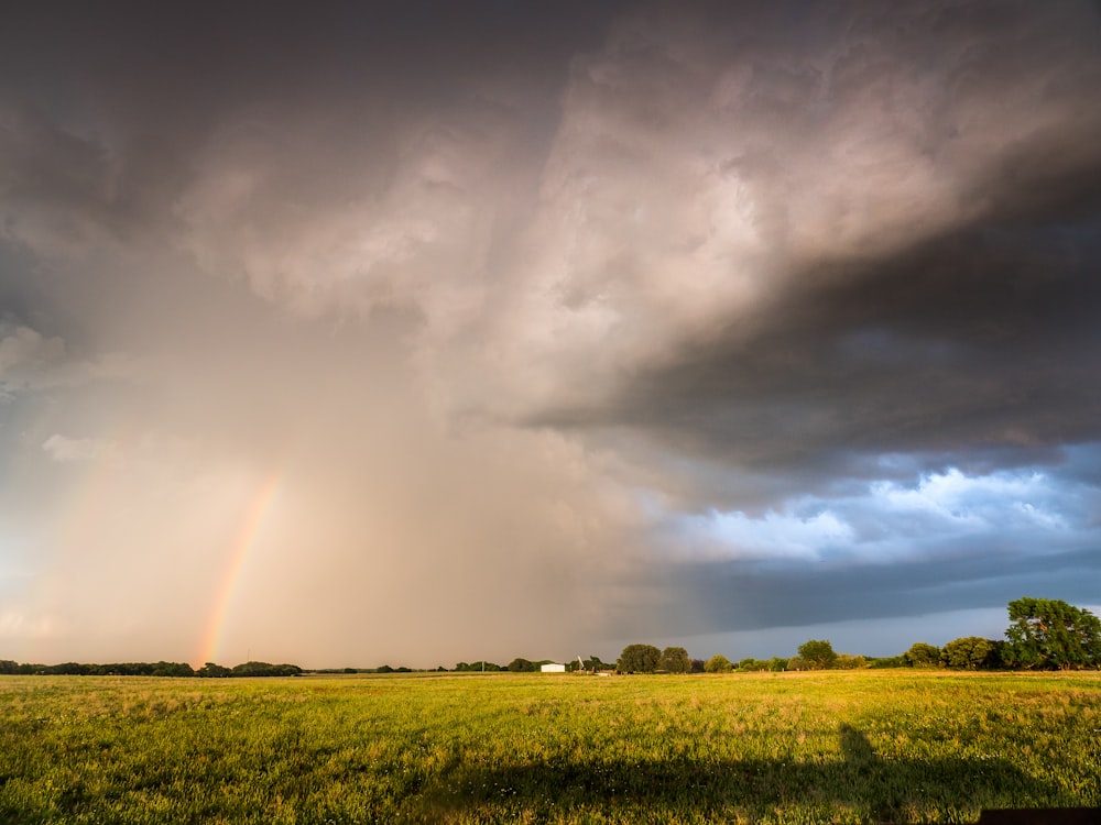 green grass field under gray clouds