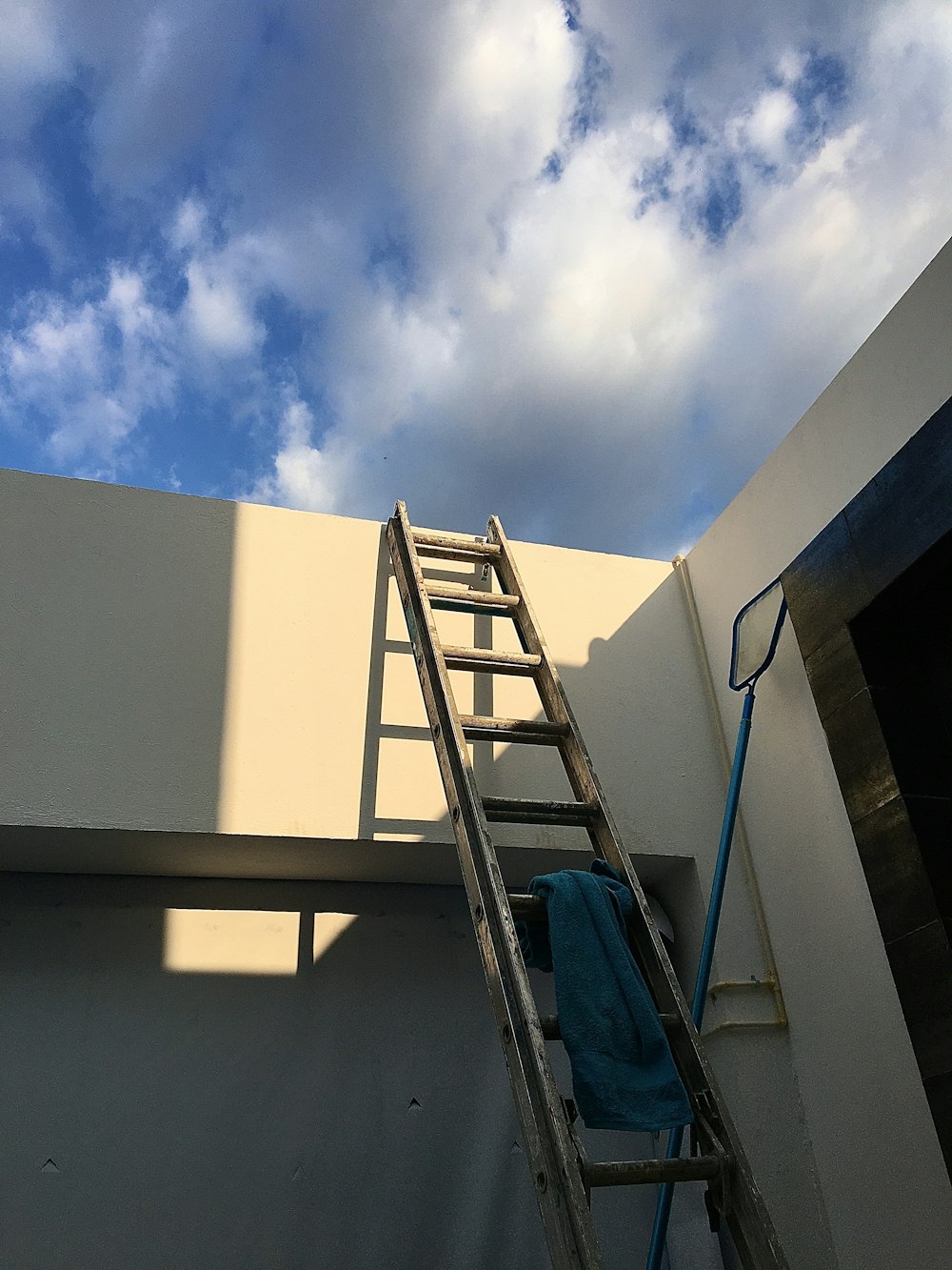 blue ladder beside white concrete wall