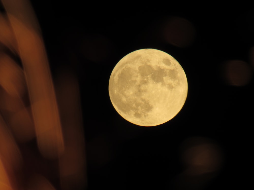 yellow full moon in dark night
