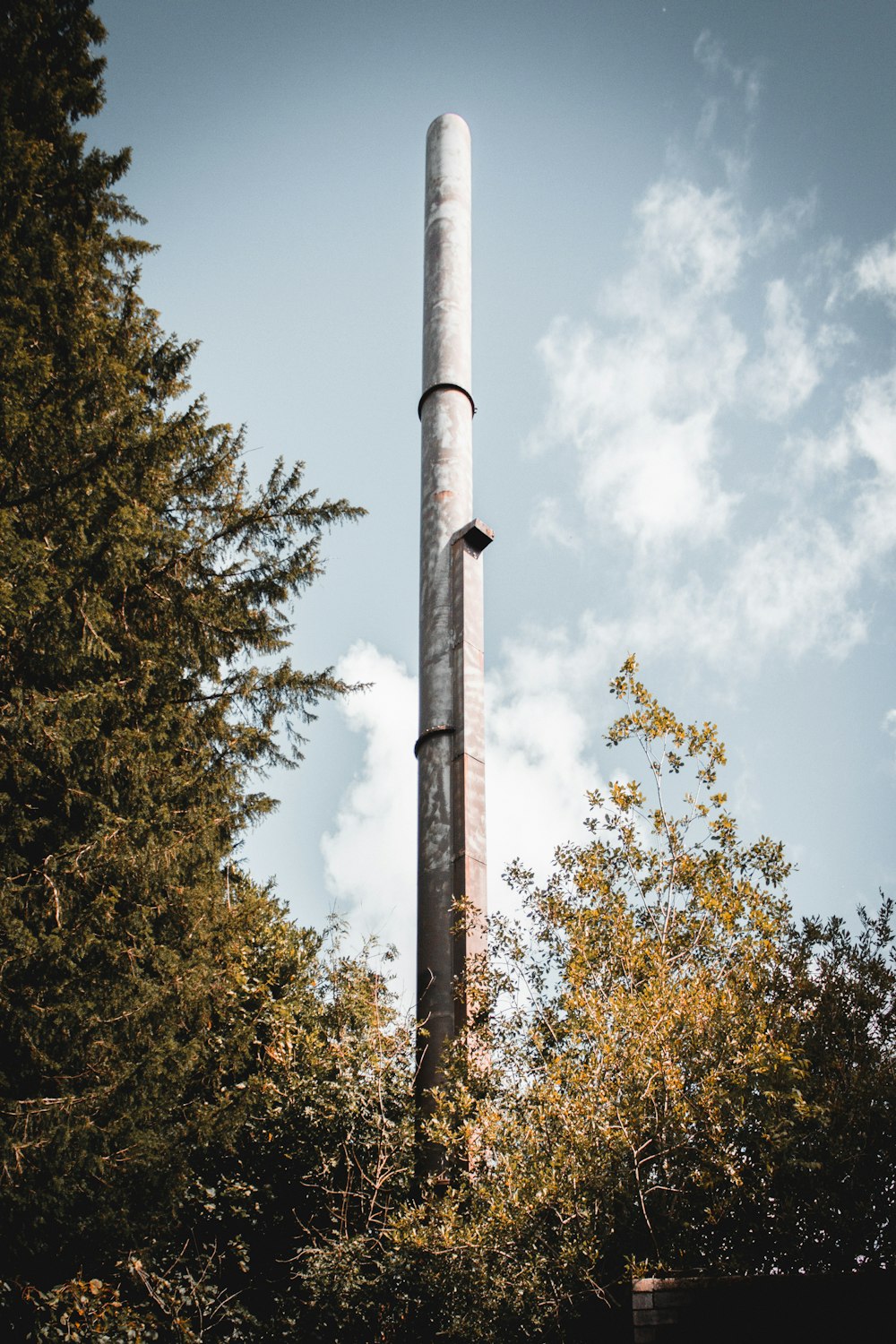 um poste de metal alto sentado ao lado de uma floresta