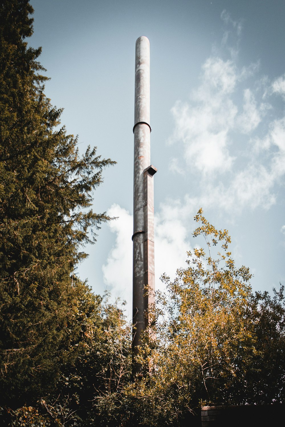 a tall metal pole sitting next to a forest
