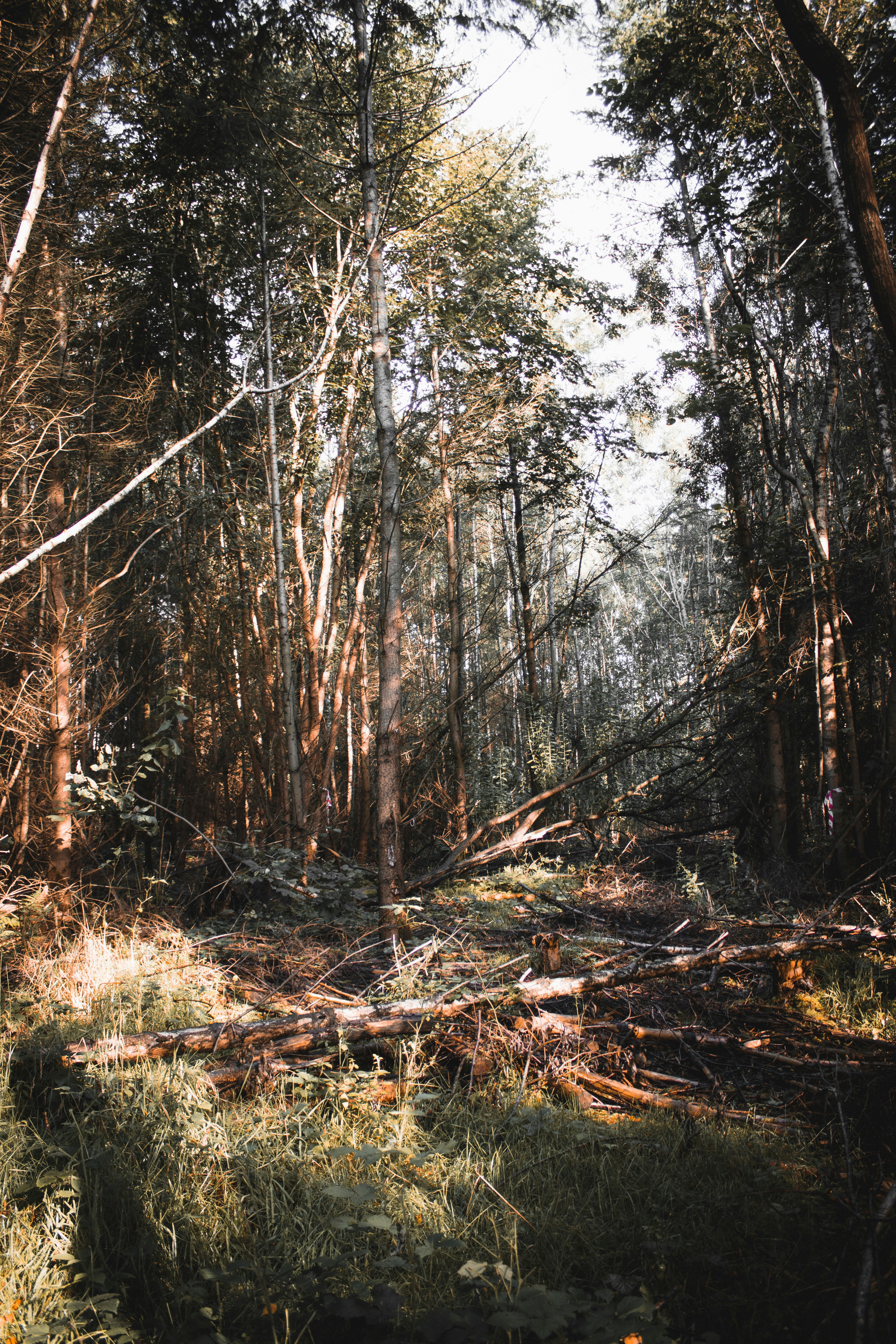 Photo by kieron_mannix