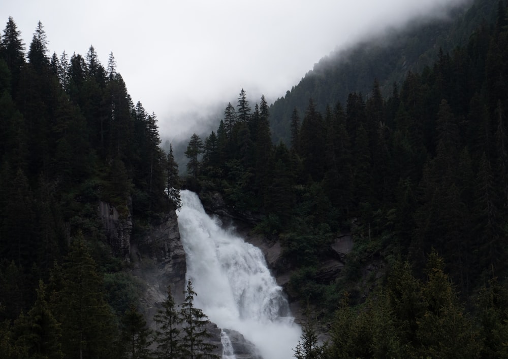 green trees near waterfalls during daytime