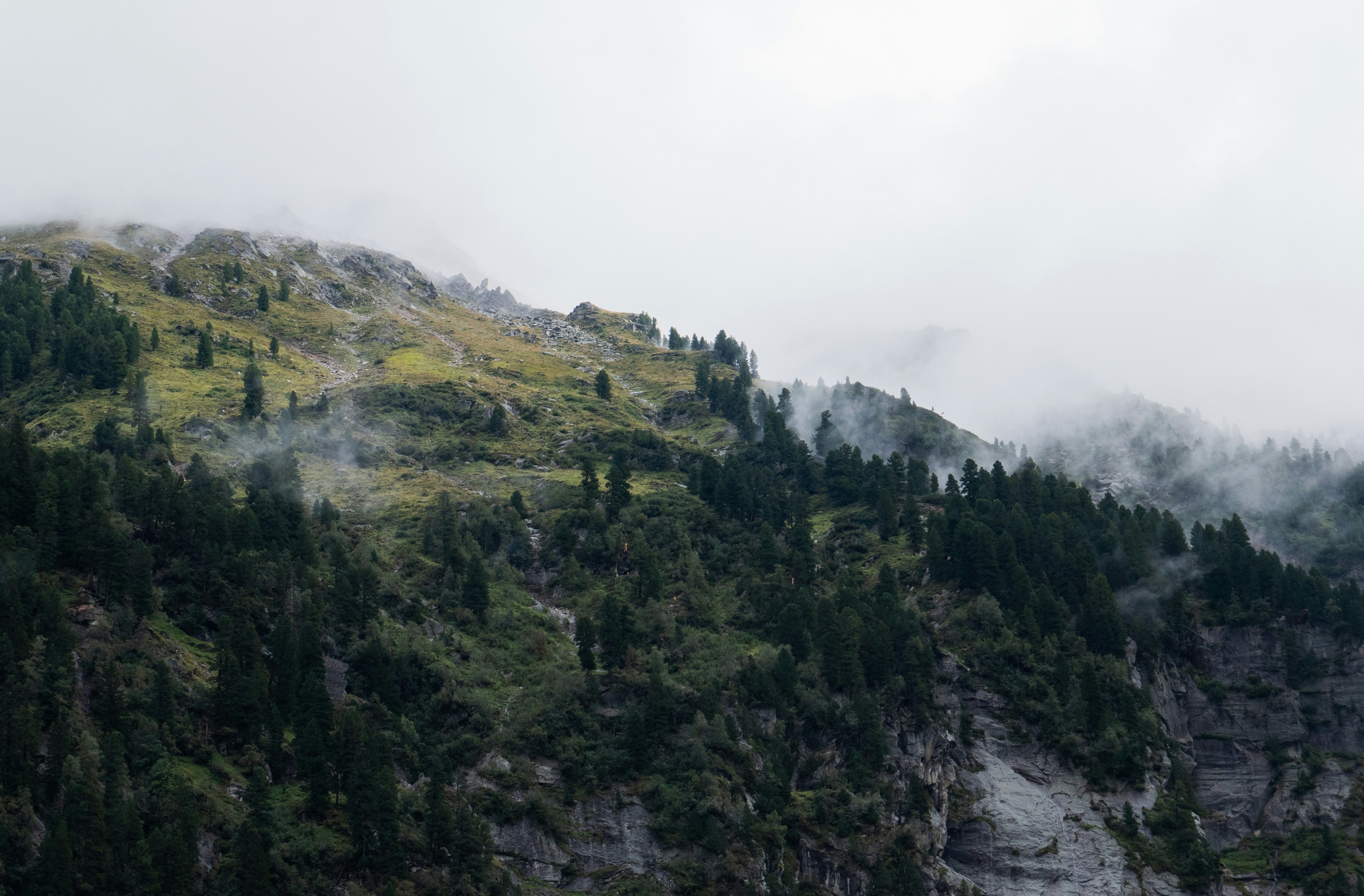 Photo by ondrej_matous