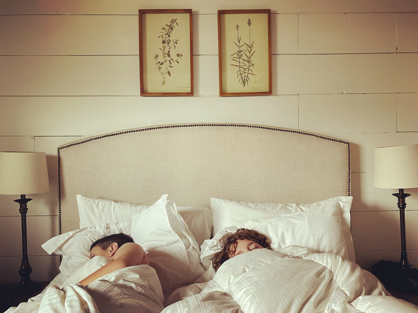 Best mattress selection in our sleep testing lab