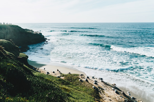 A scenic coastal view showcasing waves crashing on rocks.