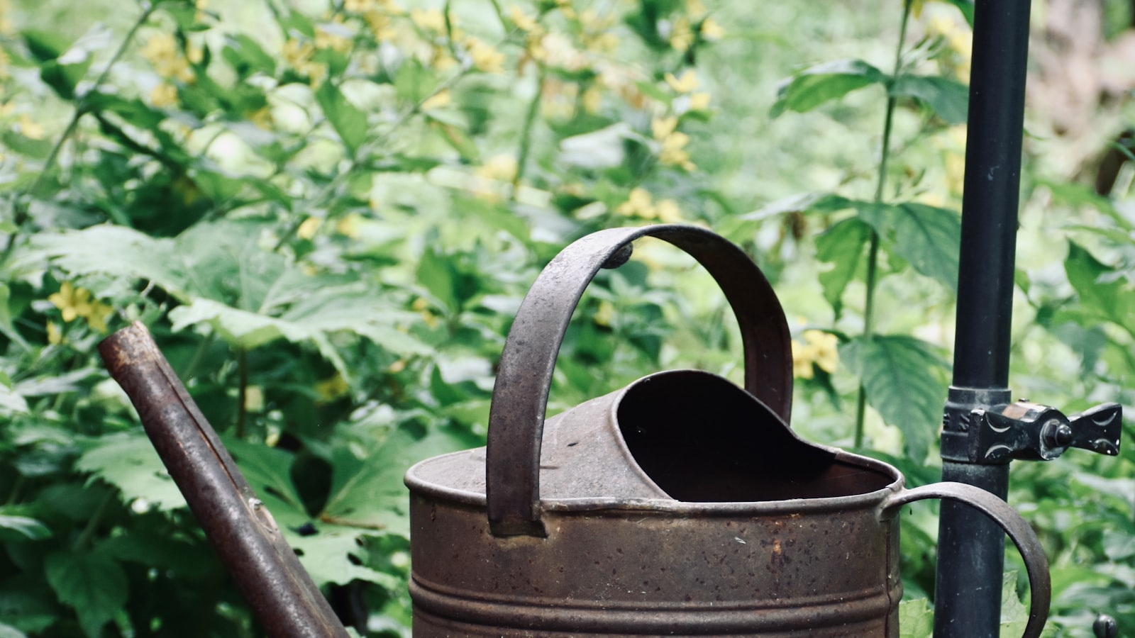 Benefits of Burying a Garden Hose: Enhancing Aesthetics and Ensuring Durability