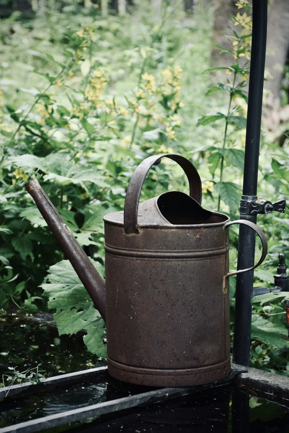 brown steel watering can on green grass during daytime